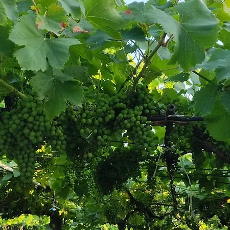 Casa Rio Canon בית נופש Meis